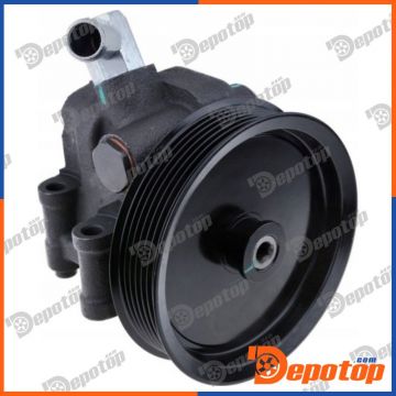 Pompe de direction assistée pour FORD | SPW-FR-036, 00-36420-SX